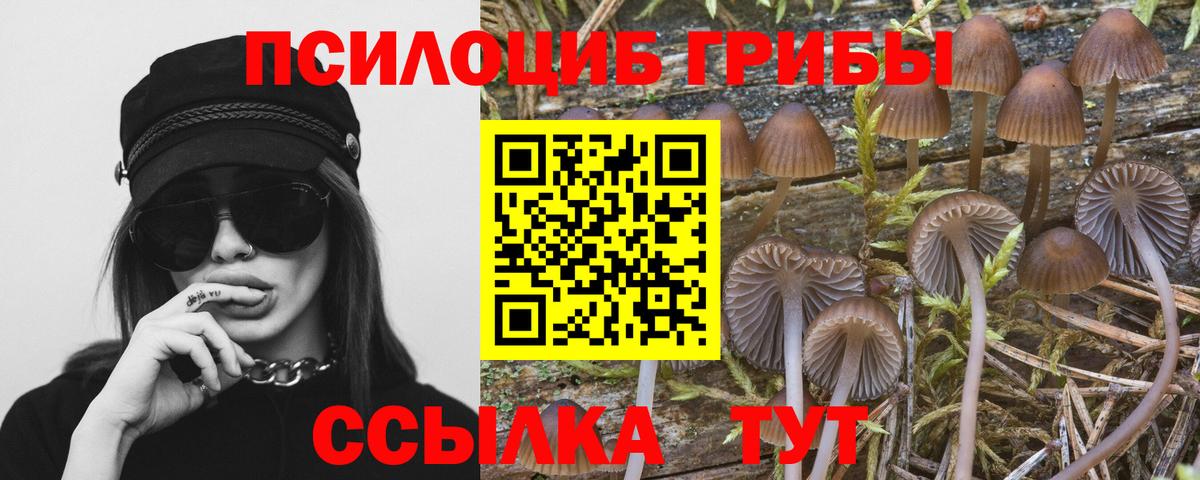 Псилоцибиновые грибы ЛСД  Вход с VPN  Назарово 